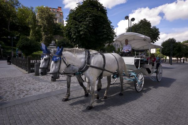Hotel Apartment Karla Capka Street (Karlovy Vary)